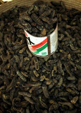 Windhoek Mworms