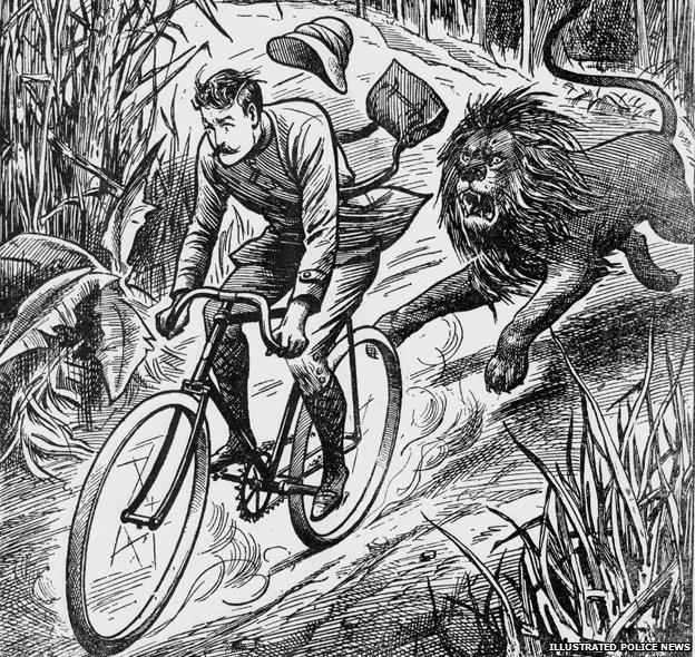 LIon and cyclist