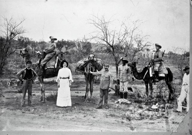 Camels in Tsumeb circa 1907