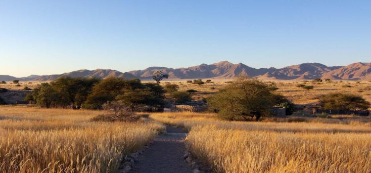 Exploring Northern Namibia – through the eyes of a German Intern