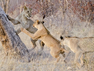 EHanakova_Cat4_LetsClimb