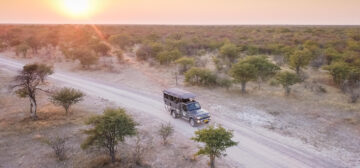 Wild at Heart Privately Guided Safari, 11 nights