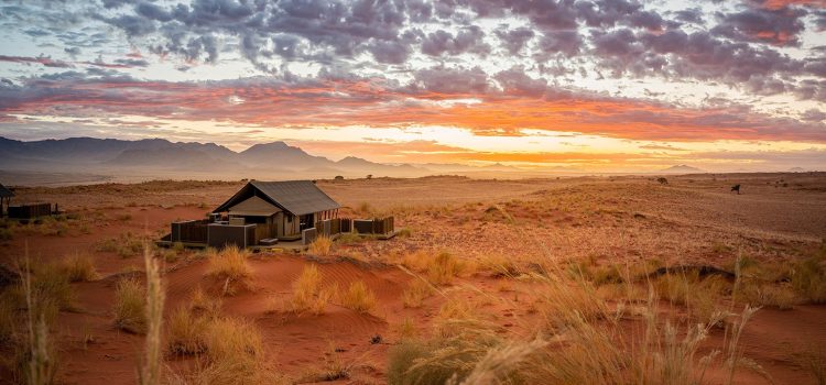 Best Of The Desert, 11 nights