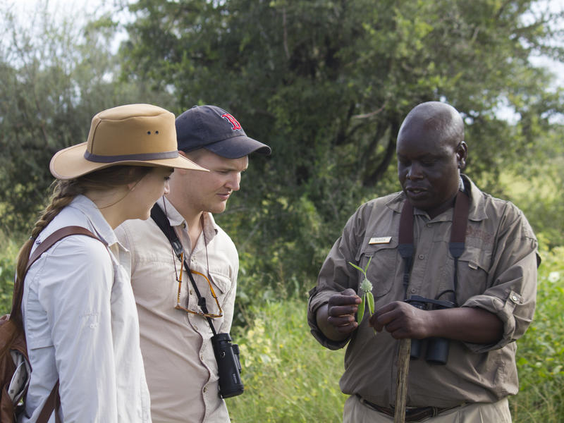 activity_game_walk_sharing_old_culture__medicinal_uses_of_plants1