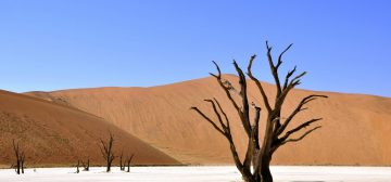 10 Day Discover Namibia Small Group Safari