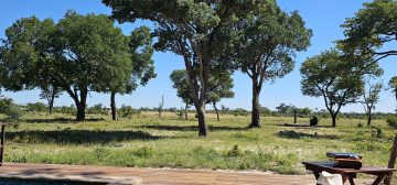 Camp Silwane, Hwange National Park