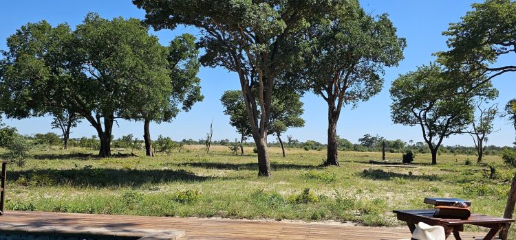 Camp Silwane, Hwange National Park